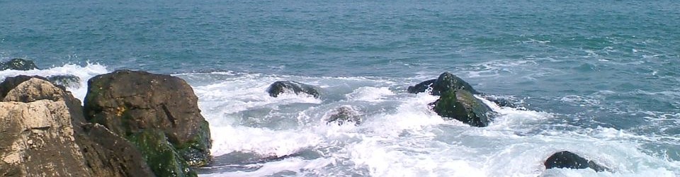 Black Sea – Danube Social-Economic Innovation Forum – 3rd ed.
